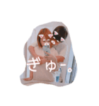 isMemories（個別スタンプ：1）