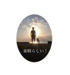 白っぽい雑種中型犬のスタンプ（個別スタンプ：10）