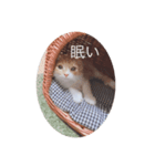 サブロー♡（個別スタンプ：2）
