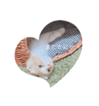 サブロー♡（個別スタンプ：3）