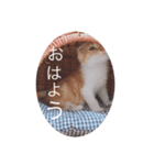 サブロー♡（個別スタンプ：5）