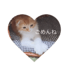 サブロー♡（個別スタンプ：7）