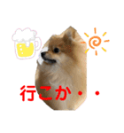 愛犬うた（個別スタンプ：9）