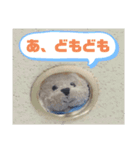 くまたんスタンプ もふもふクラブ編（個別スタンプ：8）