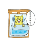 目覚め猫（個別スタンプ：19）