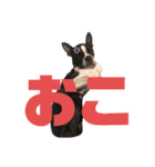 おきゃわメロウ2（個別スタンプ：4）