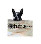 おきゃわメロウ2（個別スタンプ：21）