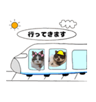 我が家の猫はピノちゃんとポン太です。（個別スタンプ：6）