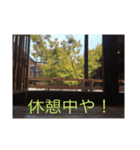 自分の顔でスタンプ作ってみてww（個別スタンプ：1）