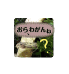 可愛いシマドジョウ7（個別スタンプ：6）