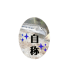 可愛いシマドジョウ7（個別スタンプ：14）