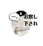 可愛いシマドジョウ7（個別スタンプ：15）