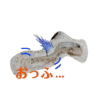 可愛いシマドジョウ7（個別スタンプ：24）