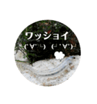 可愛いシマドジョウ7（個別スタンプ：39）