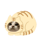 しゃるまんとりん（個別スタンプ：12）