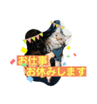 しゃるまんとりん（個別スタンプ：19）