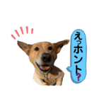 はちみつクラブ コトザック！（個別スタンプ：2）