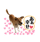 はちみつクラブ コトザック！（個別スタンプ：4）