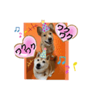 はちみつクラブ コトザック！（個別スタンプ：6）