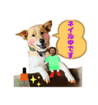 はちみつクラブ コトザック！（個別スタンプ：9）
