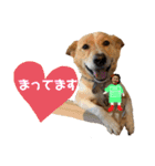 はちみつクラブ コトザック！（個別スタンプ：12）