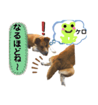 はちみつクラブ コトザック！（個別スタンプ：24）