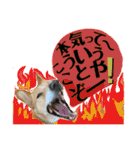 はちみつクラブ コトザック！（個別スタンプ：26）