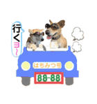 はちみつクラブ コトザック！（個別スタンプ：27）