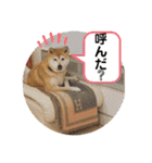 はちみつクラブ コトザック！（個別スタンプ：31）