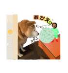 はちみつクラブ コトザック！（個別スタンプ：35）