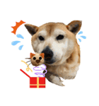 はちみつクラブ コトザック！（個別スタンプ：37）