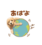 こむぎのスタンプ。（個別スタンプ：7）