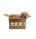 とわとななの気持ち3（個別スタンプ：6）