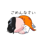 まんだら王国ー長官（個別スタンプ：5）
