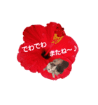 ミメチ（個別スタンプ：3）
