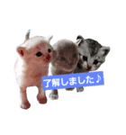 ミメチ（個別スタンプ：7）