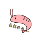 小エビちゃんスタンプ(1部キノコ)（個別スタンプ：3）