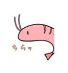 小エビちゃんスタンプ(1部キノコ)（個別スタンプ：15）