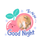 柴犬すたんぷ！1（個別スタンプ：1）