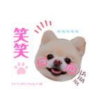 ビビアンのステッカー（個別スタンプ：8）