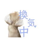 ほくほくのイッヌ 2（個別スタンプ：30）