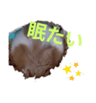 福くんスタンプVer．2（個別スタンプ：6）