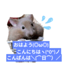 福くんスタンプVer．2（個別スタンプ：8）