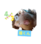 福くんスタンプVer．2（個別スタンプ：12）