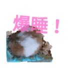 福くんスタンプVer．2（個別スタンプ：13）