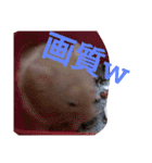 福くんスタンプVer．2（個別スタンプ：14）