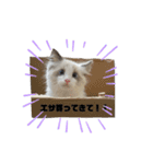 もちもち39スタンプ（個別スタンプ：2）