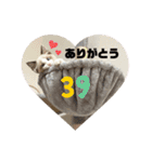 もちもち39スタンプ（個別スタンプ：15）