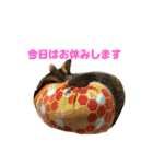 猫のレモンスタンプ2（個別スタンプ：9）