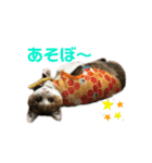 猫のレモンスタンプ2（個別スタンプ：23）